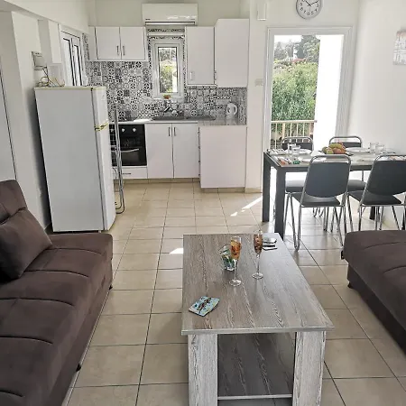 Apartment Fig Tree Dream